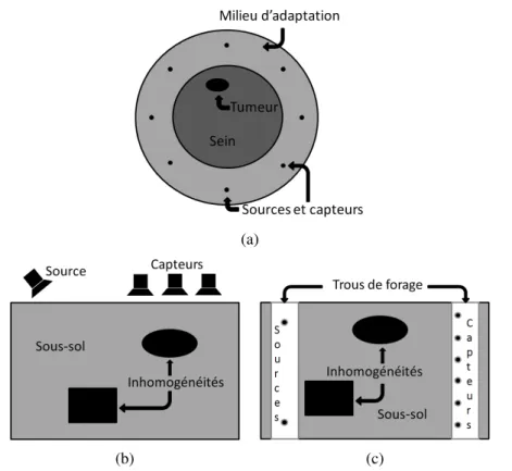 Fig. 1.1 Coupes 2-D de montages typiques utilisés en imagerie micro-ondes active : (a) détection du cancer du sein, (b) géosciences, configuration classique, (c) géosciences, configuration cross bore-hole.