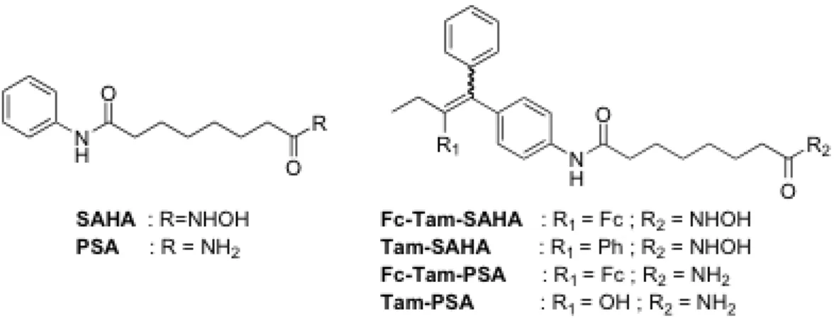 Table 4 : IC 50  values (µM) of organic and ferrocenyl hybrids of SAHA and PSA on MDA- MDA-MB-231 cancer cells after 72h