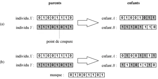 Figure II.4 : Deux modes de croisement pour un algorithme en codage binaire : (a) croisement