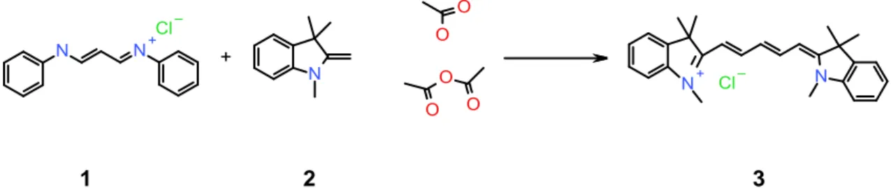 Fig. 1. Schematic synthesis of the methyl cyanine-5 derivative used in this study