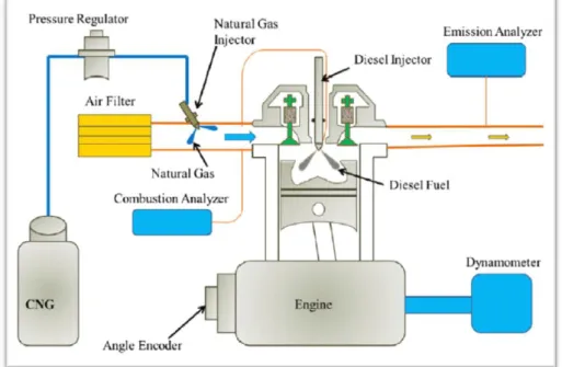 Figure I.4 : Schéma d’un moteur en mode dual-fuel à injection indirecte. (CNG : gaz naturel  comprimé) [38]