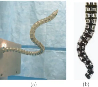 Figure 2.11 – Robotic arms: (a) CardioArm; (b) Elephant trunk-like manipulator