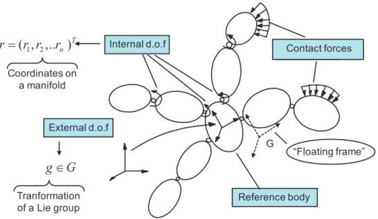 Figure 2.17 – Configuration space of a locomotion system: the principal fiber bundle