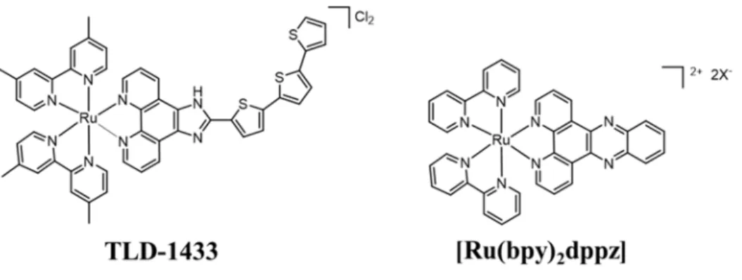 Figure 2. Structures of the Ru polypyridyl complexes TLD-1433 and [Ru(bpy) 2 dppz] 2+ 