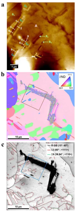Figure 2. Microcrystalline copper as first imaged in situ by ECSTM and then mapped by EBSD after repositioning in the same local area: (a) Topographic ECSTM image of the initial metallic state at E = − 0.55 V/SHE in 1 mM HCl(aq) (Z range  Z = 24 nm, tip po