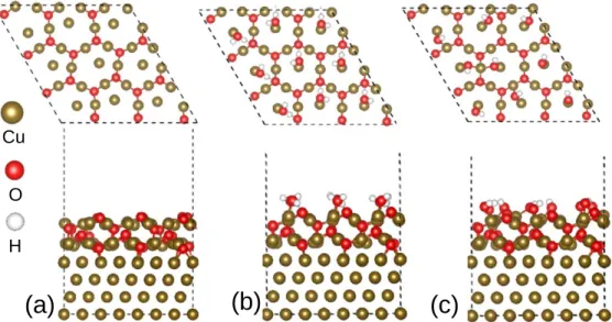 Figure 2. Sites on Cu 2 O(111) surface. Unsaturated (Cu cus ) and saturated (Cu csa ) copper surface sites and unsaturated (O up ) and saturated (O dn ) oxygen surface sites.