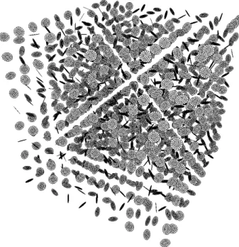 Figure 5: Array of randomly oriented penny-shaped cracks embedded in an unbounded domain (n c = 10).