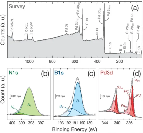Figure 3. (a) XPS survey of the BN/Pd NPs sample. (b–d) present the N 1s, B 1s, and Pd 3d  deconvoluted peaks, respectively