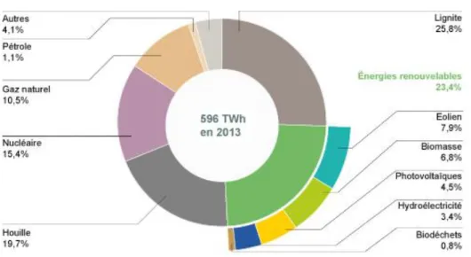 Figure 8.  Part des énergies renouvelables dans la production primaire d’électricité  dont l’export (2013) 