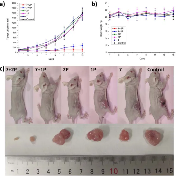 Figure 5. Biological Evaluation of 7 inside a mouse model. In vivo PDT study of 7 using 1P  (500 nm, 60 min, 10.0 mW cm -2 , 36 J cm -2 ) or 2P (800 nm, 50 mW, 1 kHz, pulse width 35 fs,  5 s mm -1 ) excitation on nude mice bearing a doxorubicin-selected P-