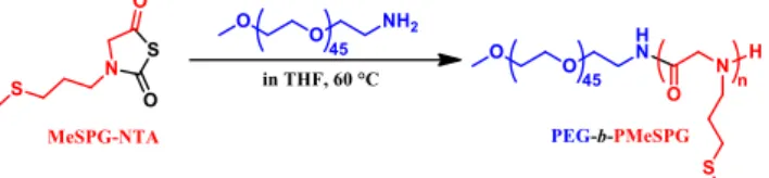 Fig. 1. Synthesis of PEG-b-PMeSPG by ROP of MeSPG-NTA. 
