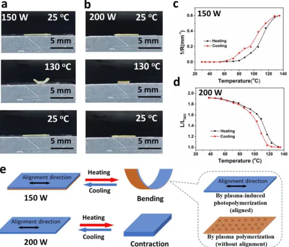 Figure 3. (a) and (b) The deformation behaviors of the LCE films fabricated by plasma-induced  polymerizations with 150W and 200W plasma powers during 30 min and in the presence of  photoinitiator