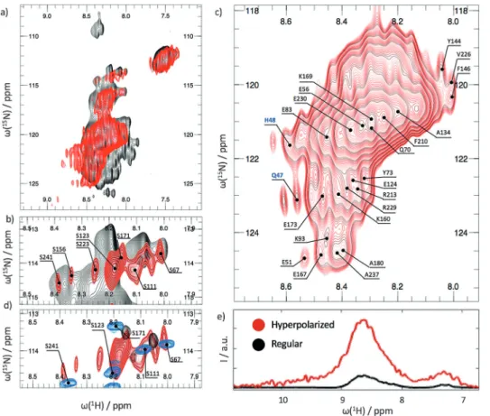 Figure 3 a shows the Gly region of the hyperpolarized exchange filtered (red, 30 s) and normal (gray, obtained by time-averaging for 18 h) SOFAST HMQC spectra in the presence of heparin