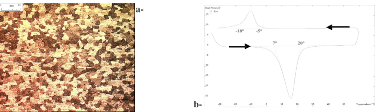 Figure 1 – Alliage à Mémoire de Forme de type TiNi (a-) microstructure, (b-) courbe DSC