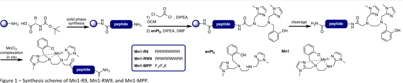 Figure 1 – Synthesis scheme of Mn1-R9, Mn1-RW9, and Mn1-MPP.  