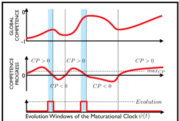 Fig. 2. Periods of evolution of the maturational clock ψ(t) according to the evolution of the global competences.