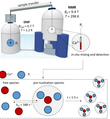 Figure  2.  Schematic  representation  of  the  experimental  setup  for  real-time  monitoring  of  CaP  PNS  formation  by  D-DNP