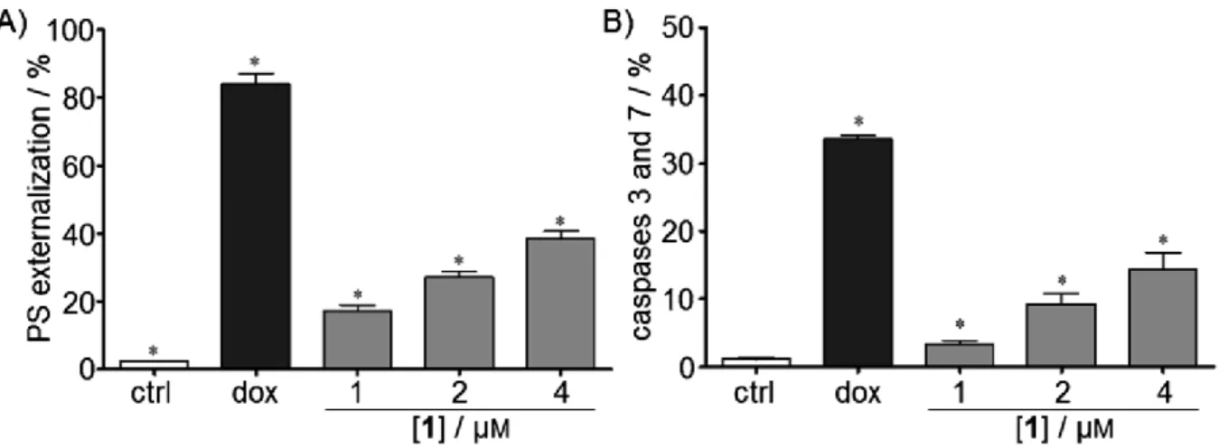 Figure 3. Effect of 1 on: A) phosphatidylserine externalization and B) activation of caspases 3 and 7 of HL-60 