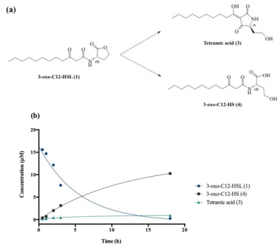 Figure  2. Degradation of  3-oxo-C12-HSL: (a)  Degradation  scheme  into  by-products  (3) and  (4)