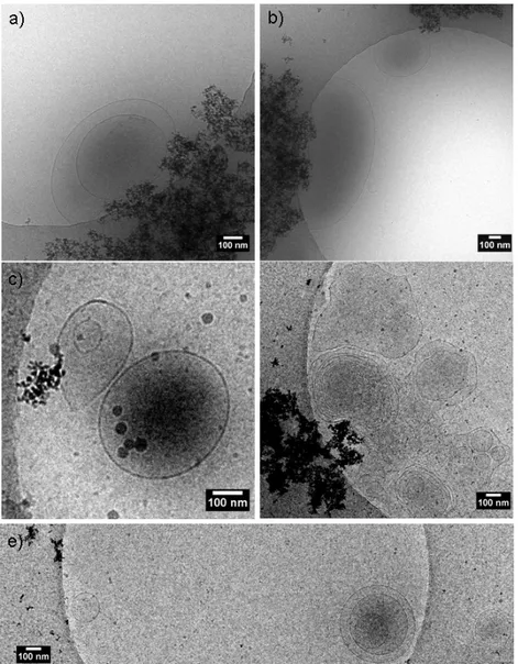 Figure 5 – Cryo-TEM images of NPs GL samples prepared at pH 6 directly adjusted from pH 9 (NPs GL 380 