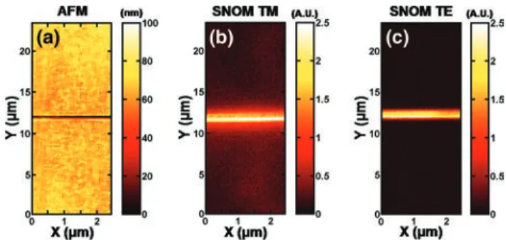 Fig. 1. (Color online) Experimental setup. Excitation is performed at ␭ ⫽ 975 nm and fluorescence is recorded at ␭ ⫽ 550 nm.