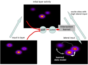 Fig. 3. Schematic sketch of the learning of kernel matrices, i.e., lateral connection weights