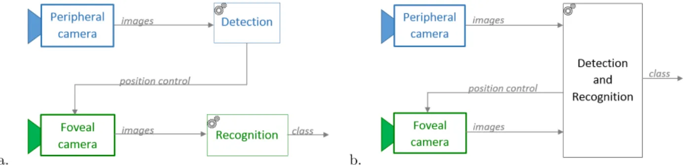 Figure 9: a. The classical model used in dual field systems: the peripheral vision is used for the detection and control function, the foveal vision is used for recognition