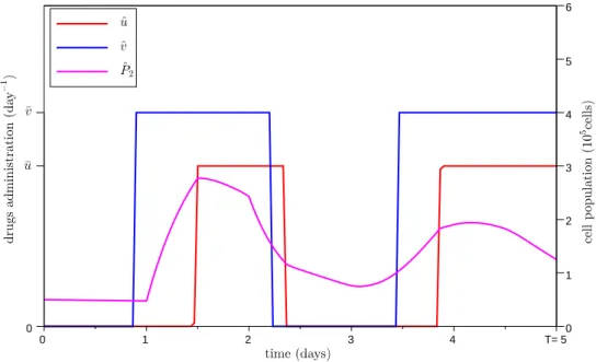 Figure 4.5: An optimal protocol with δ u ¯ < 0 < δ 0 and limited cytotoxic. We consider a maximal cumulative dose of cytotoxic ¯U = 2 days·¯ u, whereas T = 5 days, τ = 1 day; the other parameters are given in Appendix 4.A.3