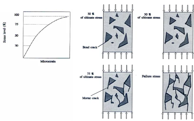 Figure 1.3 : Illustration schématique de la fissuration du béton chargé en compression (d’après  Mehta, 1986)