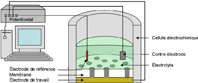 Figure 1-4 Schéma de principe du montage pour dépôt électrochimique dans une membrane