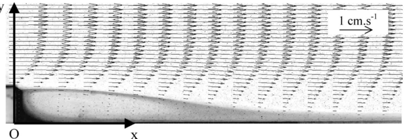 Fig. 3. Flow in the symmetry plane z = 0 for h = 10 mm at Re = 100: visualization combined with PIV measurements.
