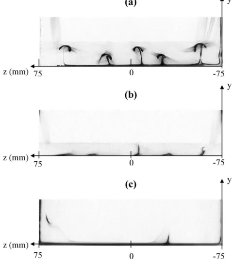 Fig. 5. Visualization of the flow in the plane x = 25h at Re = 100, the flow is coming in the direction of observation: (a) with the 10 mm high step; (b) with the 5 mm high step; (c) with the upstream ramp (no step)