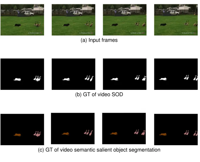 Figure 0.3: A comparison of video SOD, video semantic salient object segmentation and video object instance segmentation.