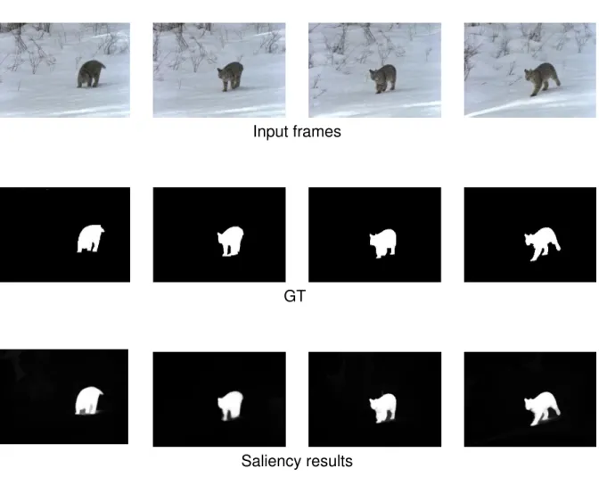 Figure 0.5: Some examples of saliency maps generated by the proposed VBGF.