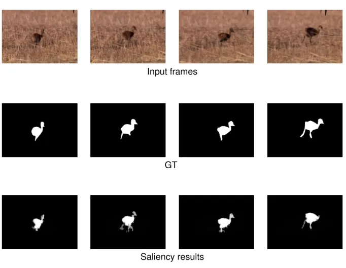 Figure 0.6: Some examples of saliency maps generated by VBGFd.