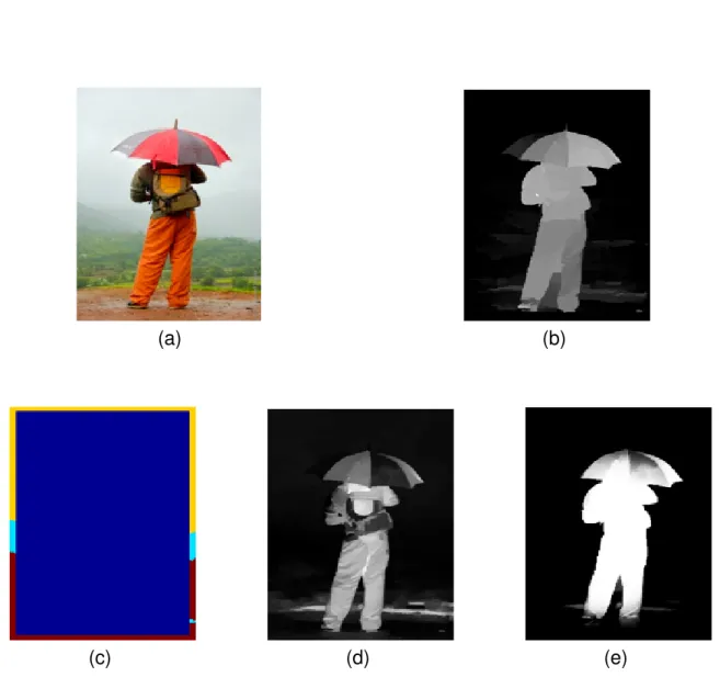 Figure 3: An overview of our MST-based saliency detection framework.