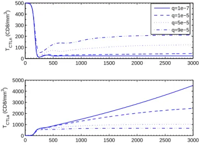 Figure 3.5 – Simulation du modèle 5Dctl . Évolution du taux de CTL naïfs et du taux de CTL activés pour q = 1e-7 (lignes —), q = 1e-5 (tirets – –), q = 5e-5 (pointillés · · · ), q = 9e-5 (tirets + pointillés – ·· –).