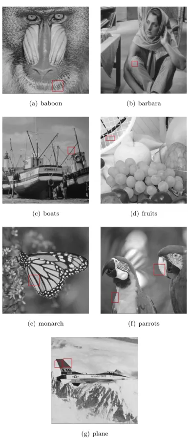 Figure 2.24 – Les morceaux choisis de différentes images de test naturelles.