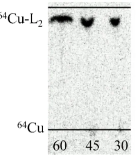 Figure 9. Thin layer radiochromatogram of   64 Cu-L 2  after 30 min, 45 min and 60 min reaction time at pH 5.4 at r.t