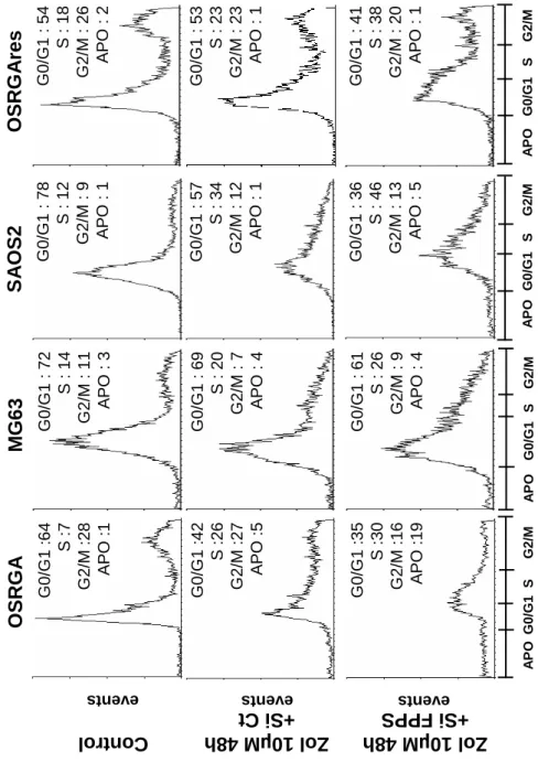 Figure 4 Control eventsevents G0/G1G2/MSAPOG0/G1G2/MSAPOG0/G1 :64S :7G2/M :28APO :1G0/G1 :42S :26G2/M :27APO :5G0/G1 : 69S : 20G2/M : 7APO : 4G0/G1 : 72S : 14G2/M : 11APO : 3MG63OSRGAresG0/G1 :35S :30G2/M :16APO :19G0/G1 : 61S : 26G2/M : 9APO : 4Zol10µM 48