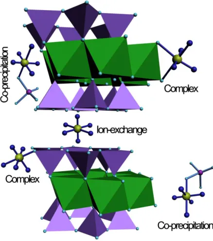 Fig. 1 Illustration of sorption sites for Ni on Ca-montmorillonite.   