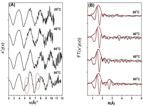 Fig.  4  Raw  k 3 -weighted  χ(k)  spectra  of  experimental  samples  (A)  and  their  corresponding  pseudo  radial distribution functions (RDFs) (B) at three different temperatures