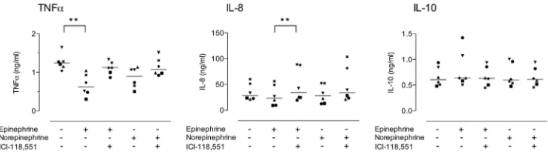 Fig. 4. b 2-AR dependent effect of formoterol on LPS-induced TNF a , IL-8 and IL-10 secretion by porcine BMM.