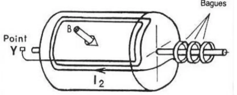 Figure I.4 Rotor bobiné : vue d’une bobine et du pole à un instant donné  I.2.2.2. Rotor à cage 