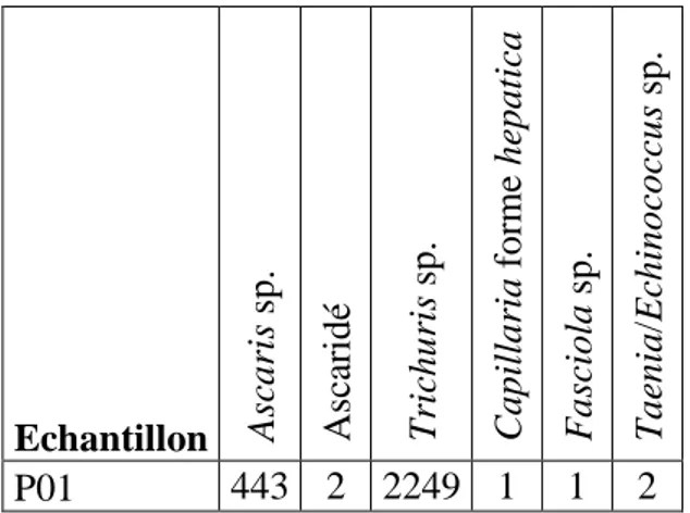 Tableau 1 : Résultats des analyses paléoparasitologiques pour l'échantillon (en nb d’œufs)