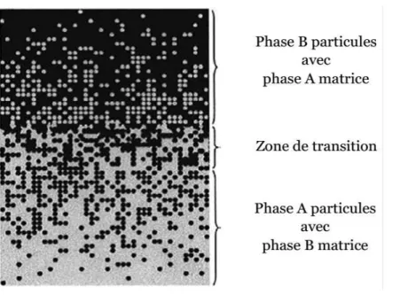 Figure I.2 : Schéma présente Les deux phases de FGM [Shen 2011] 