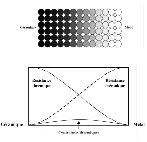 Figure I.3 : Concept des matériaux à gradient de propriétés . [Boch, 1986] 