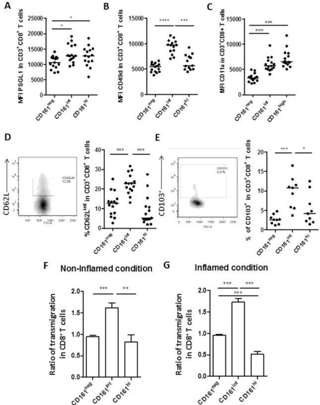 Fig. 3. CD8 þ CD161 int T cells express homing markers with transmigratory abilities. (A) Frequency of CD3 þ CD8 þ expressing CD62L int and MFI of PSGL-1, CD49d, and CD11a in CD3 þ CD8 þ CD161 neg , CD161 int , or CD161 hi cells in the blood of HV (n ¼ 17,