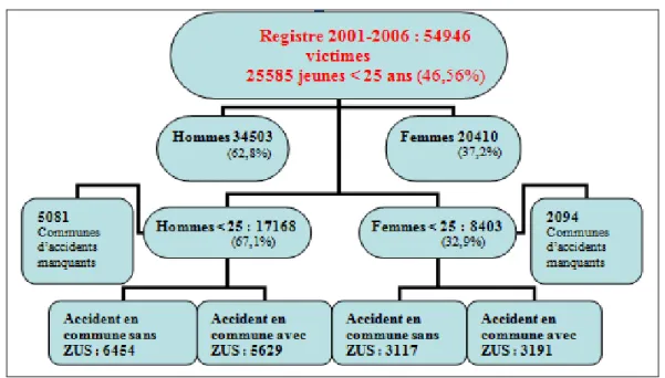 Figure 1 : Organigramme hiérarchique des victimes du Registre entre 2001 et 2006 