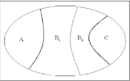 Figure II.2 : Catégorisation possible des attributs. 